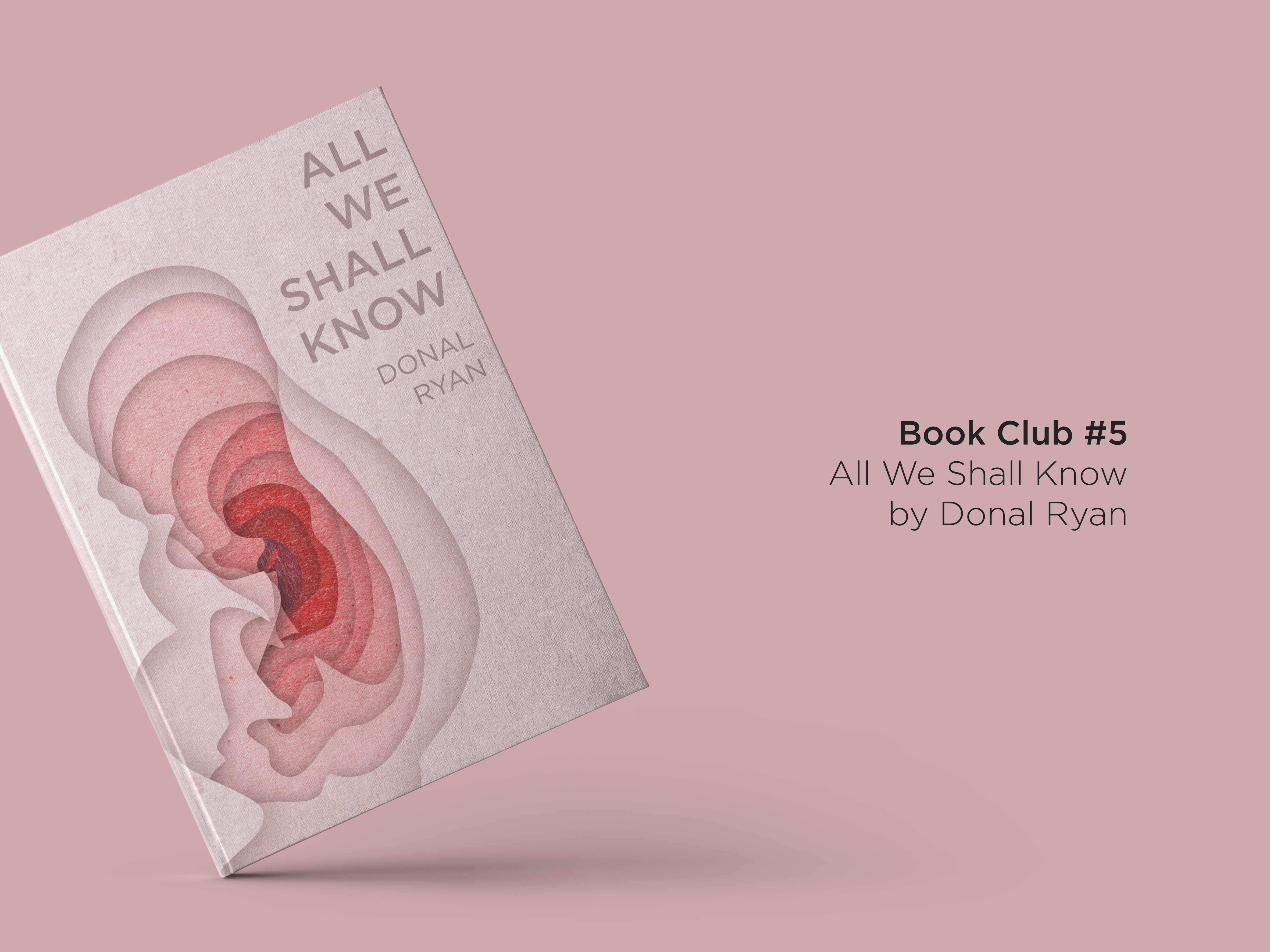 book-club-5-all-we-shall-know-by-donal-ryan-work-over-easy