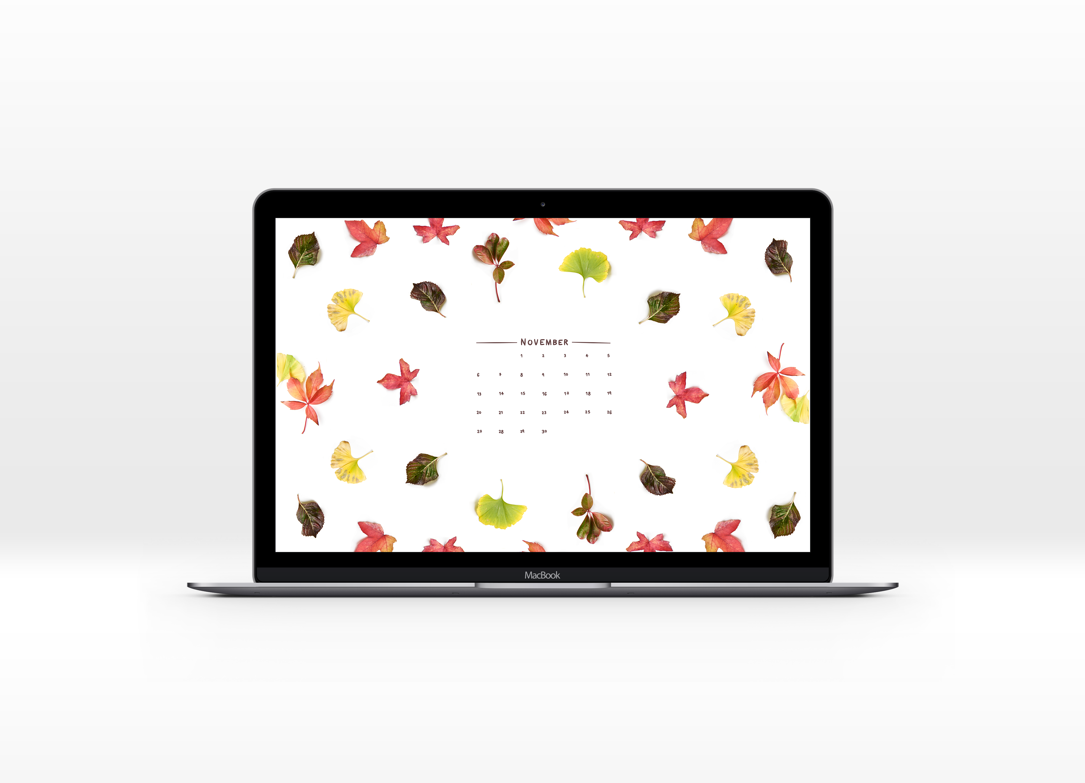 FREE downloadable november desktop background wallpaper