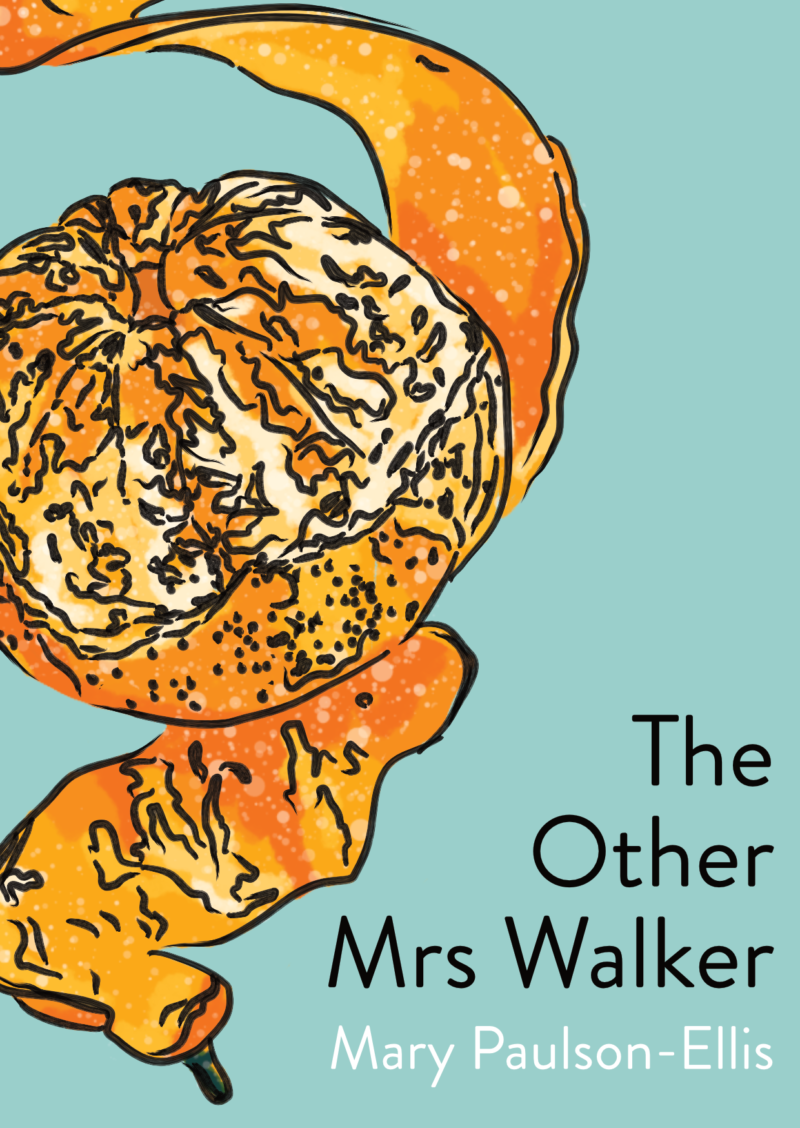 The Other Mrs Walker Alternative Cover Design and review